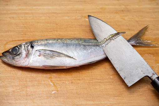 Knife for removing mackerel's zigo