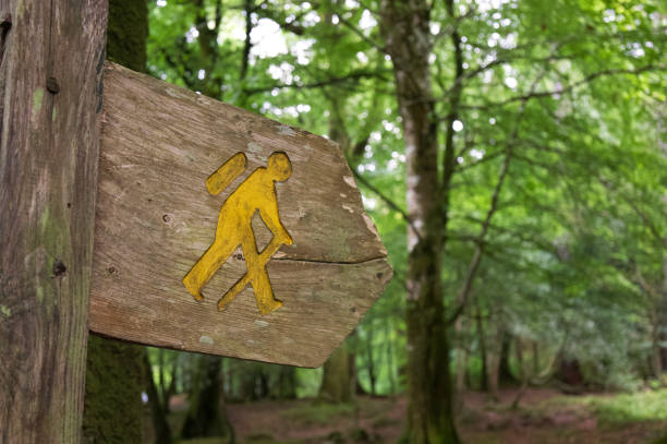 istock Hiking sign in woods 1424612083