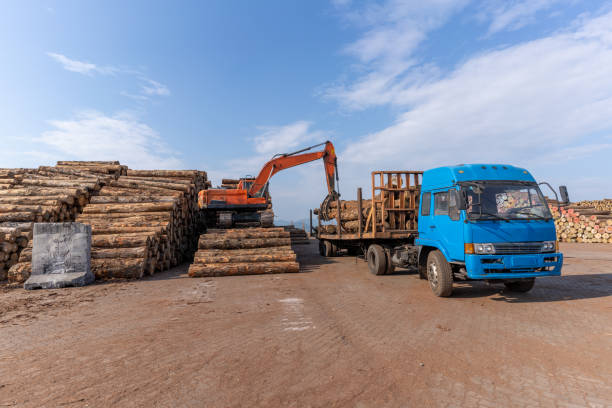 carico e scarico del legno con camion e carrelli elevatori nell'impianto di lavorazione del legno - lumber industry timber truck forklift foto e immagini stock