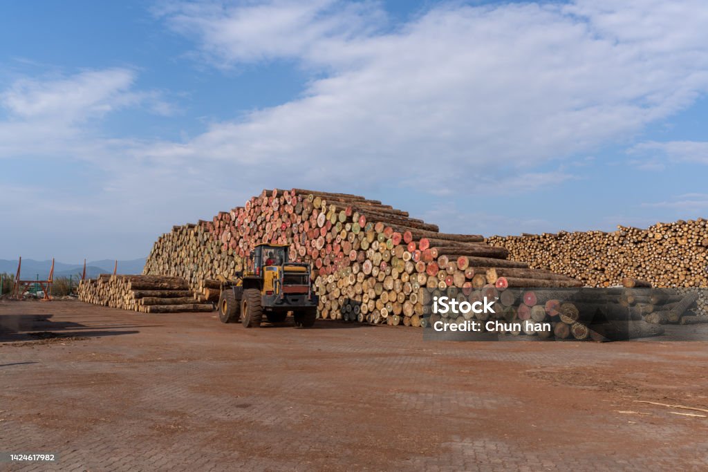 Loading Timber The Loading And Unloading Vehicles In The Openair Timber Yard Are ...