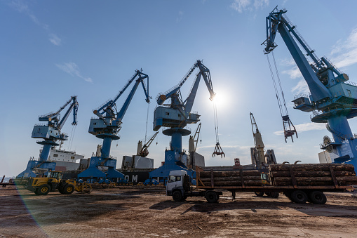 Cranes and vehicles at the port are handling timber