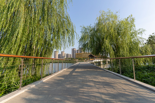 Willows by the lake and the bridge leading to the opposite bank