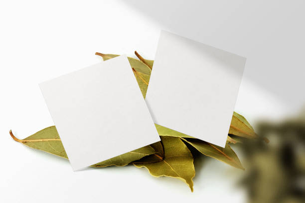 istock Clean minimal square flyer mockup floating on dry leaves and plant 1424620307