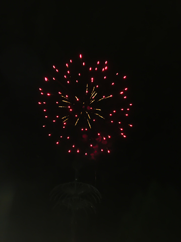 Single fireworks light up the sky with colorful splashes.