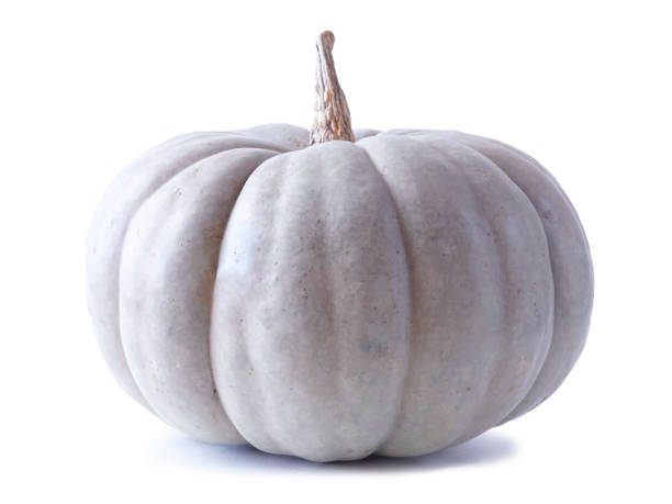 Blue green autumn pumpkin isolated on white background