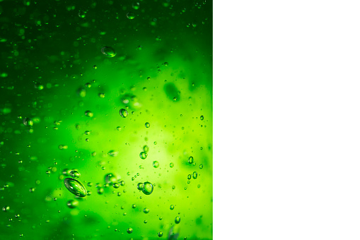 Aloe Vera transparent bubble gel isolated on white background, copy space.