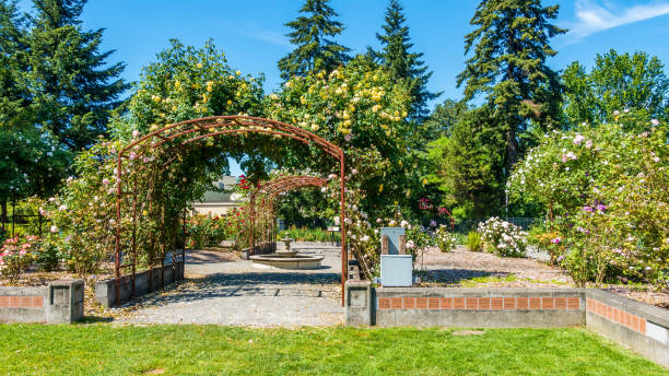 istock Seatac Garden Arbors 1424641691