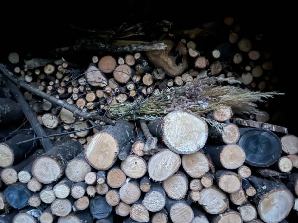 istock Cut wood in a woodshed 1424643969