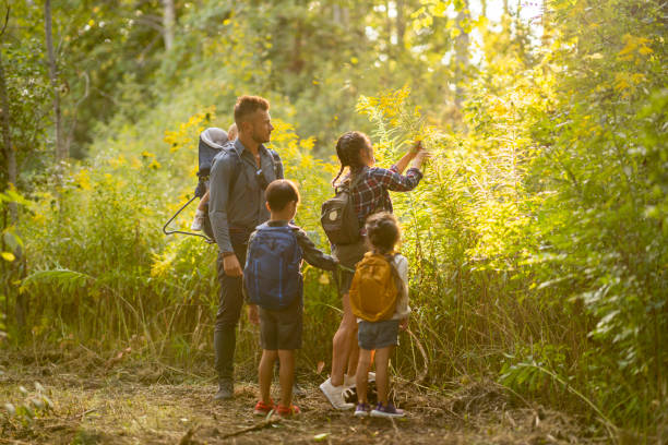 istock Exploring Nature as a Family 1424646233