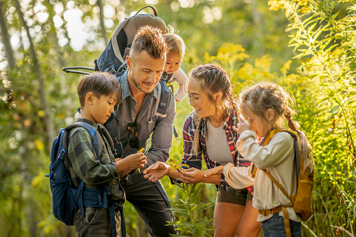 istock Exploring Nature as a Family 1424646234
