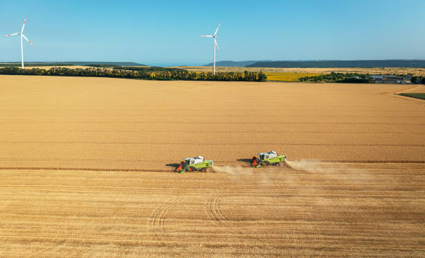 istock Combine harvester harvests ripe wheat. agriculture 1424648497