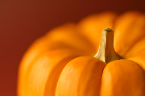 Close up of orange pumpkin