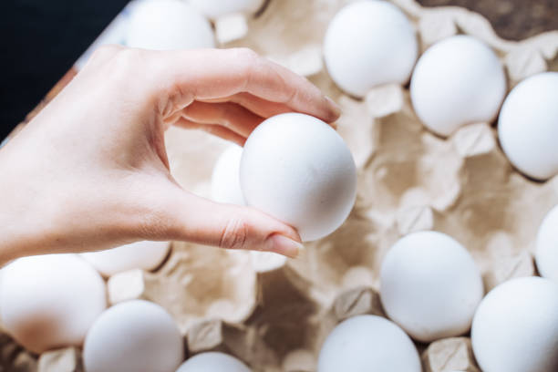 istock Eggs in cardboard tray. Packing eggs in paper box. 1424655589