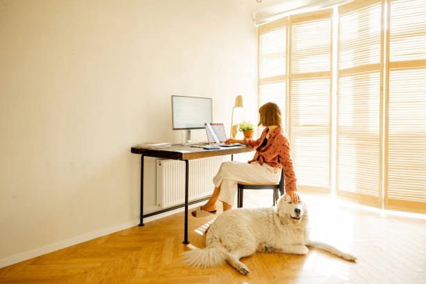 istock Woman works online on computers at home 1424662445