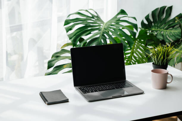 Laptop, note book and a cup on work desk in workplace with ornamental plant.
