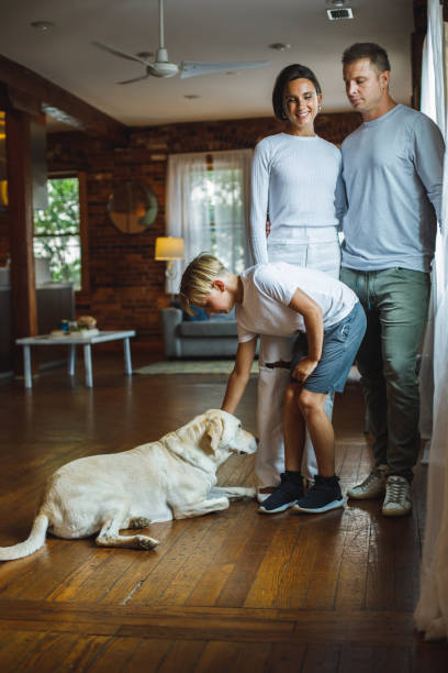 istock Happy couple standing embraced, watching their son play with his yellow Lab 1424671338