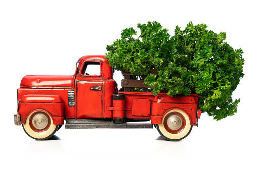 Red pick up truck toy carrying parsley isolated on white