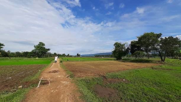istock Natural Scene of Halhalia 1424675520
