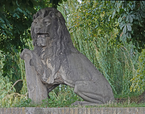 Elburg, the Netherlands - Sept. 9 2022 Stone lion from the 19th century on the fortifications of Elburg. This lion was in the past part of a group of 22 located at Amsterdam central station
