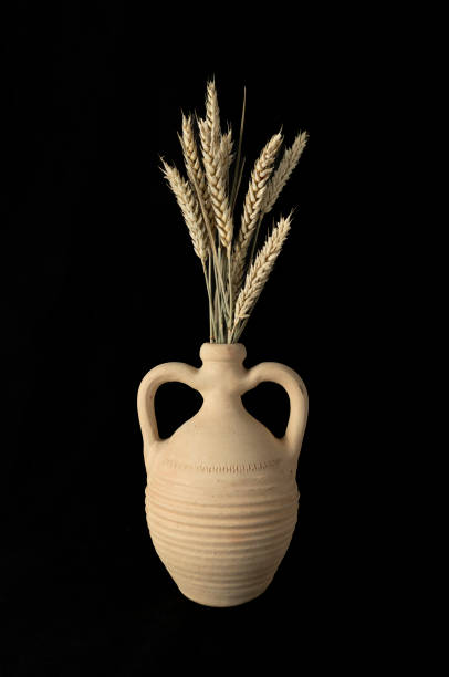 wheat  in clay pot stock photo