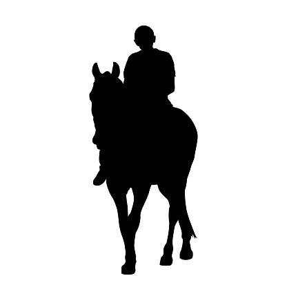 Vector graphic illustration with black horse silhouette and a rider on a white background
