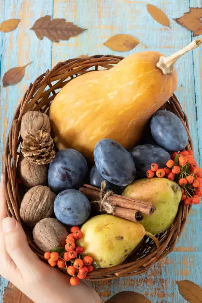 Colorful autumn fruit (pumpkin, plum, pear, walnut, cinnamon) in a vintage wicker basket on a wooden background with dry leaves. Vertical shot. Top table view. Close-up.