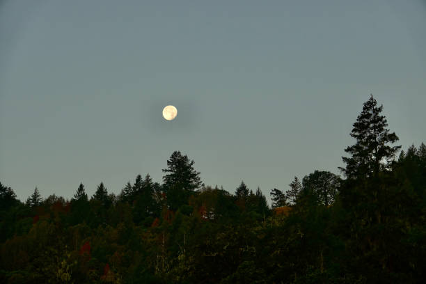 istock Full moon above the forest hillside at dawn 1424708769