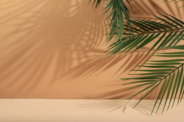 istock Empty showcase for display or presentation of cosmetic products, stage for design, abstract background with palm leaves and long shadows 1424708801