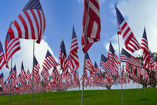 Enormous field displaying the US flags