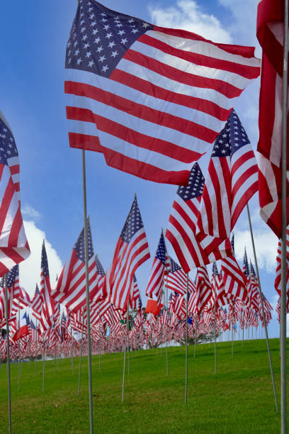 istock Hundreds of American flags on display for unity 1424710570