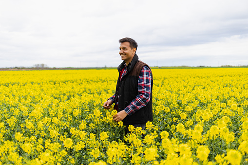 Modern agriculture.  Young and attractive Middle Eastern farmer holding a smartphone in a field. Modern technology in agriculture. Modern farming. Modern farming technology.