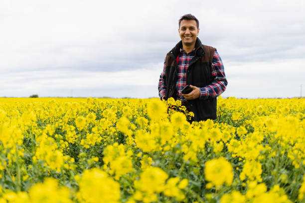 istock Portrait of a Middle Eastern farmer in his successful crops 1424710624
