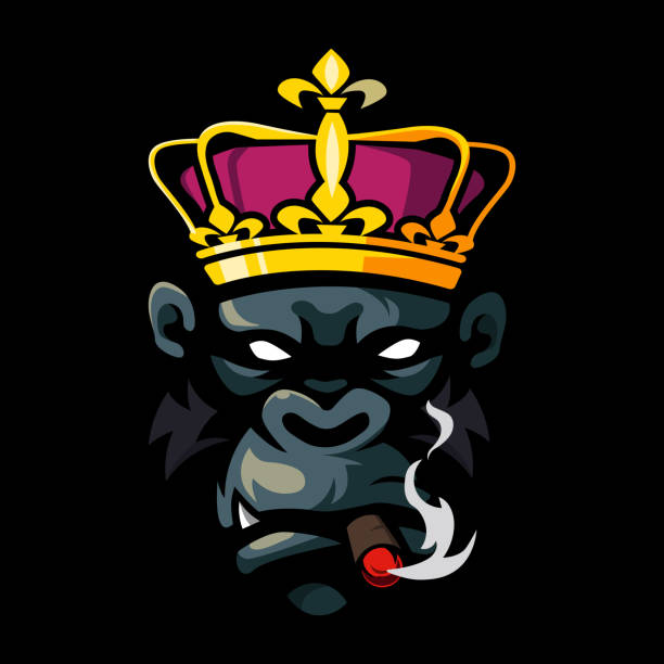 könig des kong-rauchens - silberrucken gorilla stock-grafiken, -clipart, -cartoons und -symbole