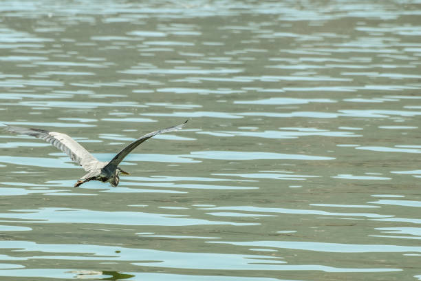 Photo taken in Contadora, Panama