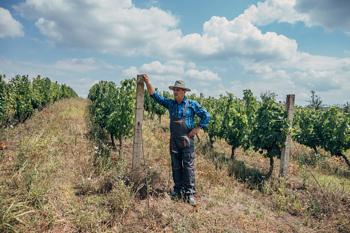 A proud farmer in his vineyard