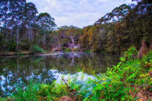 Lane Cover river and national park in Sydney - sunrise landscape of calm nature.