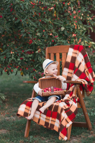 秋のりんご果樹園に住む小さなヨーロッパの少年。子供はリンゴで編組されたチャモルダンの手にある明るいチェック柄の上の木製の長椅子縞に座っています。幼年。休息.収穫。 - orchard child crop little boys ストックフォトと画像