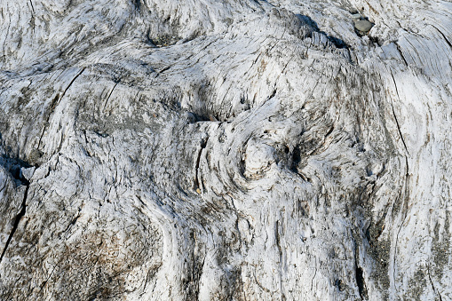 An abstract image of the texture on old washed up drift wood.