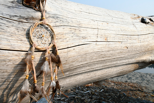An image of a hand made brown and white dream catcher hanging on a large drift wood log.