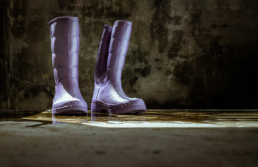 Pair of Purple rubber rain boots on wet floor with old bare cement wall background. Space for text, Selective focus.