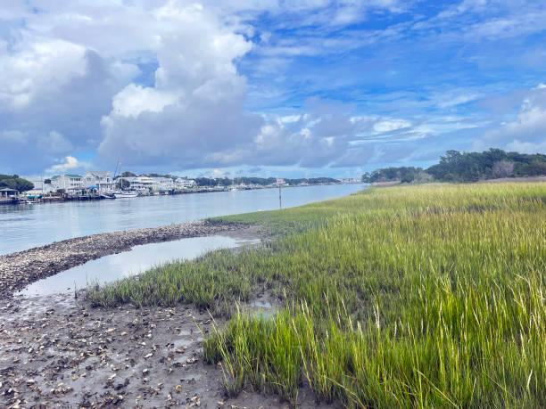 Estuary Waterway and Sea Grasses stock photo