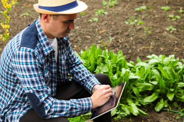 istock Defocus farmer man read or analysis a report in tablet computer on a agriculture field, agriculture concept. Young agronomy worker on the field. Out of focus 1424756117