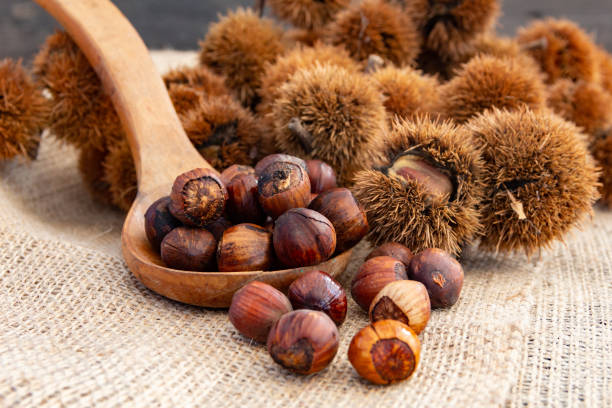 feche um monte de castanhas na prancha de madeira - castanha - fotografias e filmes do acervo