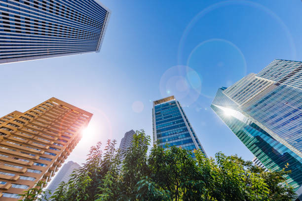istock Tokyo cityscape with beautiful morning light 1424762910