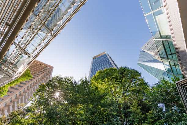 istock Tokyo cityscape with beautiful morning light 1424763002