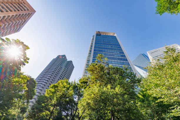 istock Tokyo cityscape with beautiful morning light 1424763776