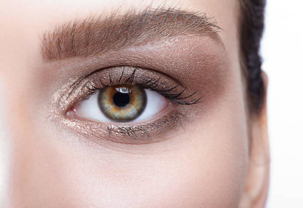 istock Female eye zone and brows with day makeup 1424764730