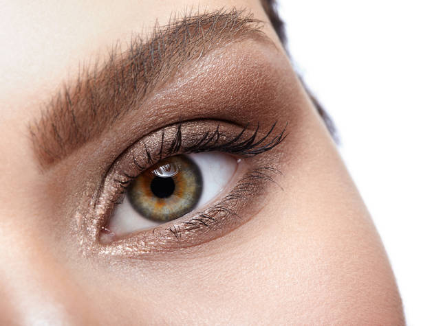 istock Female eye zone and brows with day makeup 1424764733