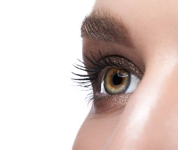 istock Female eye zone and brows with day makeup 1424764747