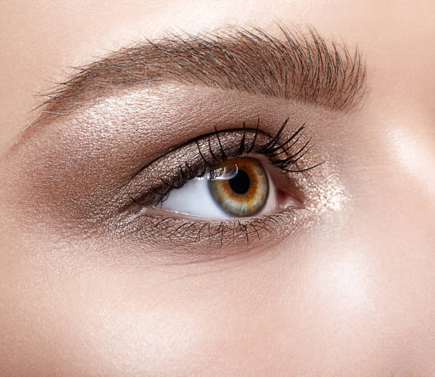 istock Female eye zone and brows with day makeup 1424764793